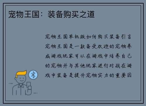 宠物王国：装备购买之道